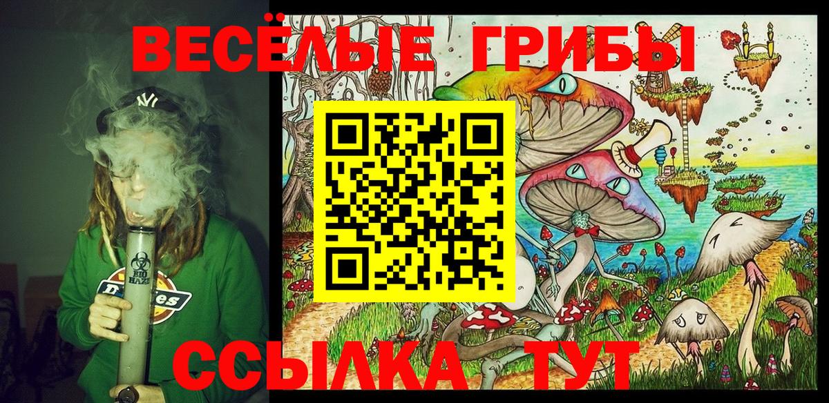 Псилоцибиновые грибы Psilocybe Ковров